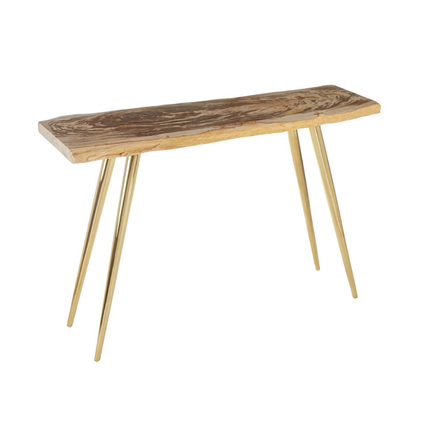 Petrified wood shop console table